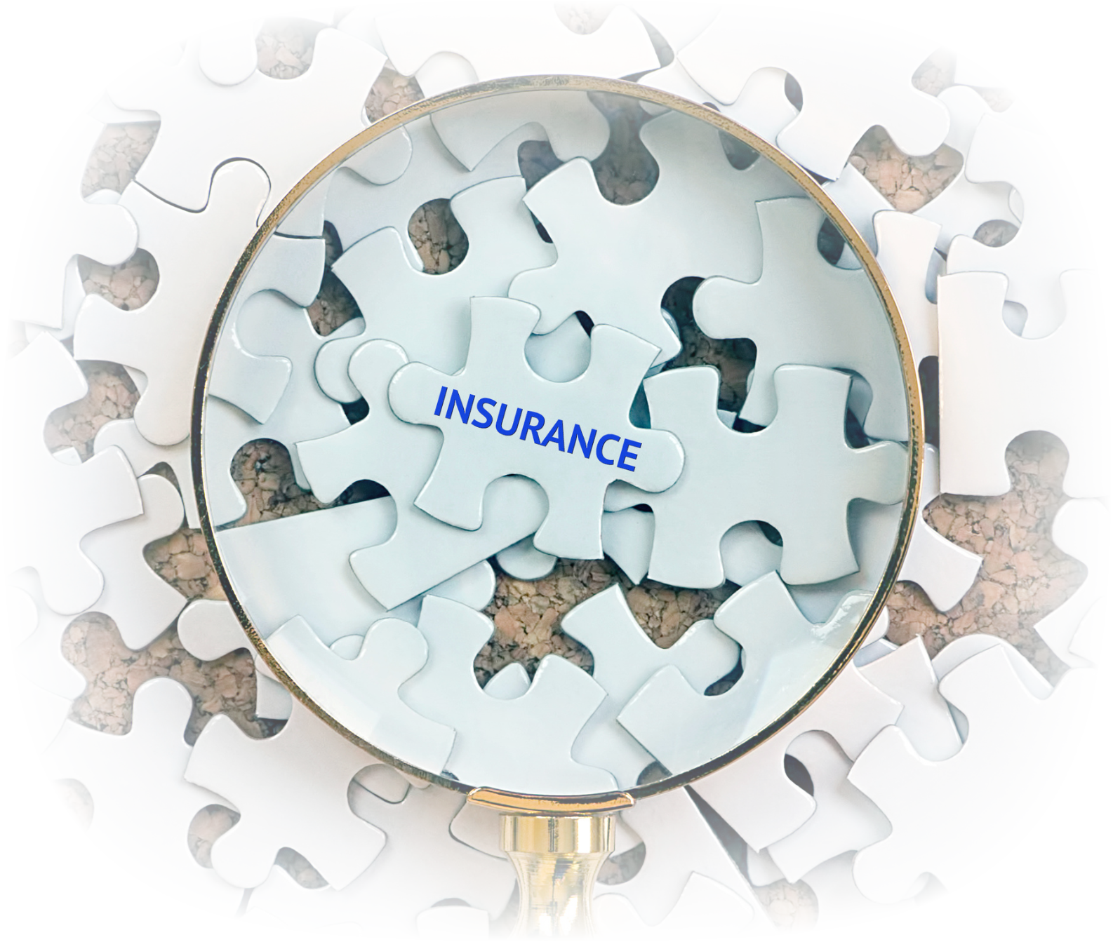 175564904597934206 (1)