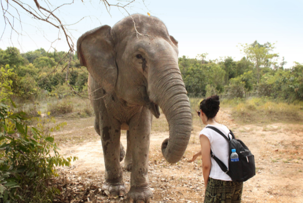 Anya talking to an elephant!