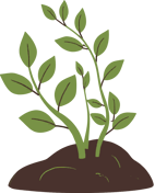 How Can Energy Healers Refresh Their Practice this Spring (4)