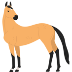 HubSpot Banners for EMPA (1)1
