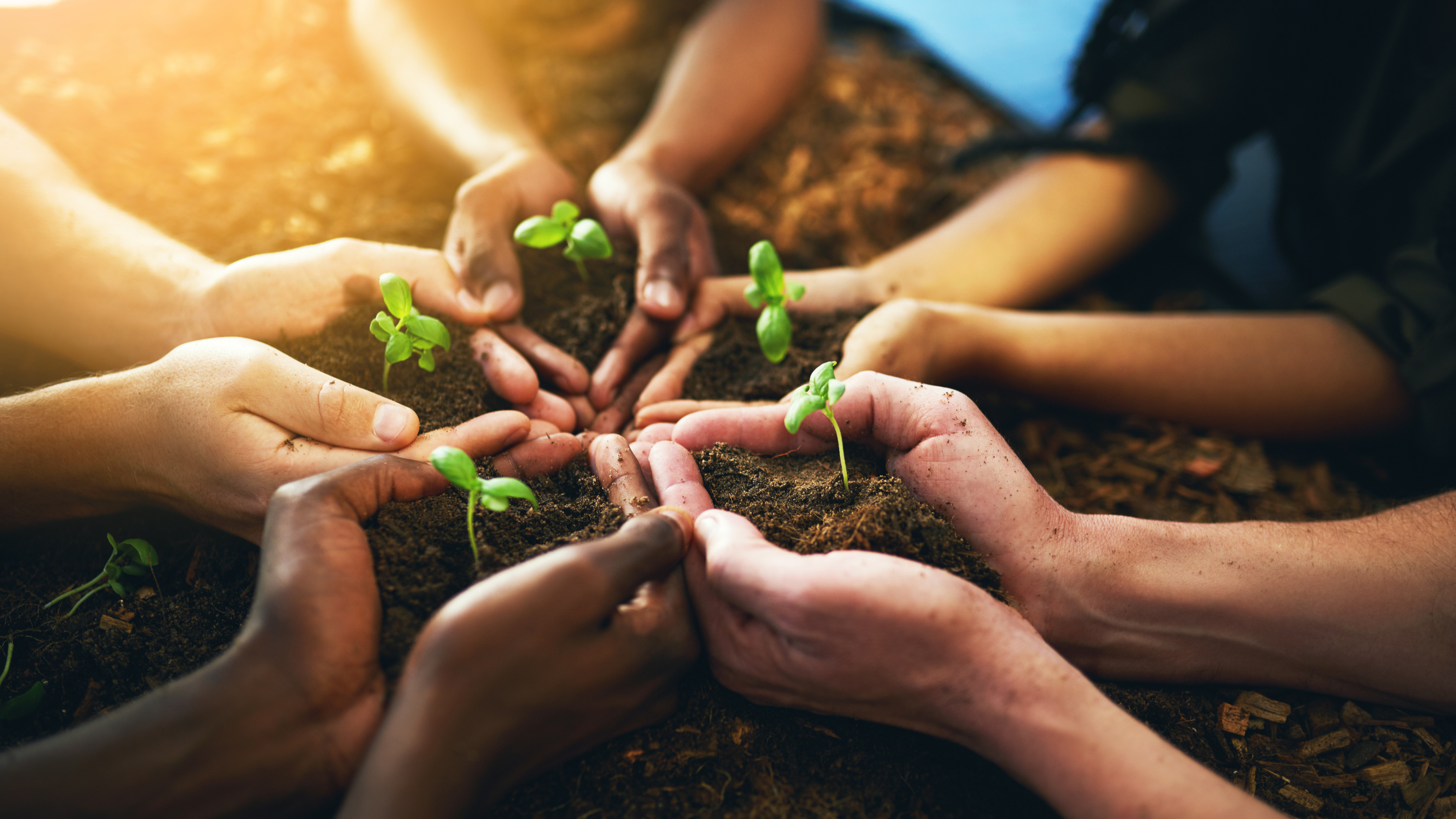 Your Healing Work: 5 Essential Goals for Grounded Growth
