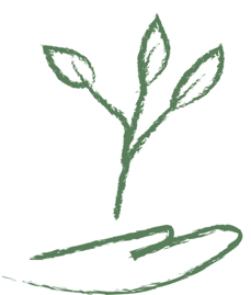 Why Energy Healers Shouldn’t Use the Title “Therapist” Without a License 6