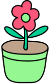 flower pot growth blossoming