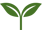 green leaves sprout