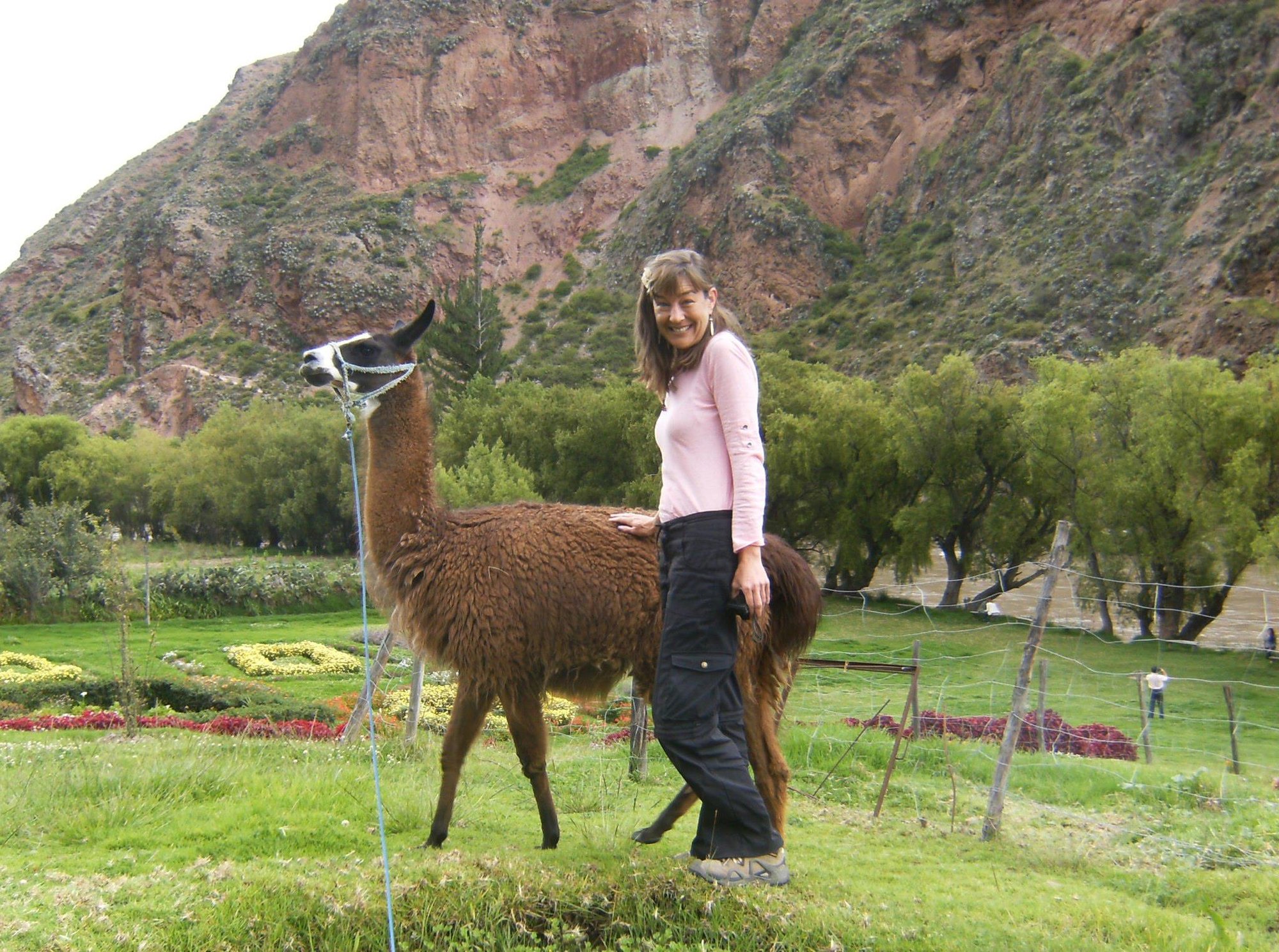 Katherine with new alpaca friend while studying healing with the Q’ero people in Peru